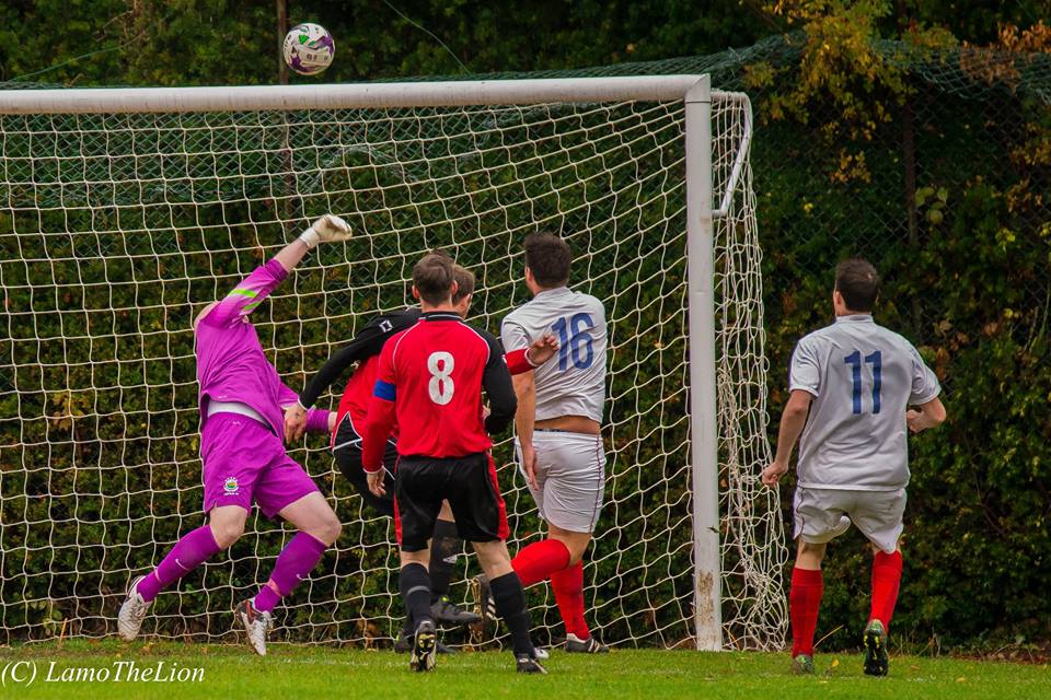 WEEK 11 REVIEW: Round-up of Saturday's league and county cup action