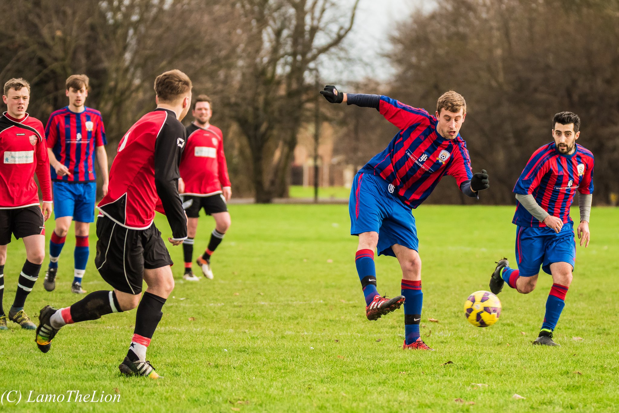 WEEK 20 REVIEW: Round-up of Saturday's league and county cup action