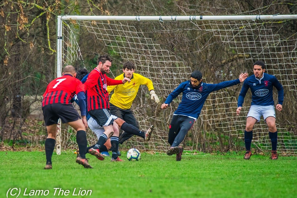 WEEK 21 REVIEW: Round-up of Saturday's league and cup action